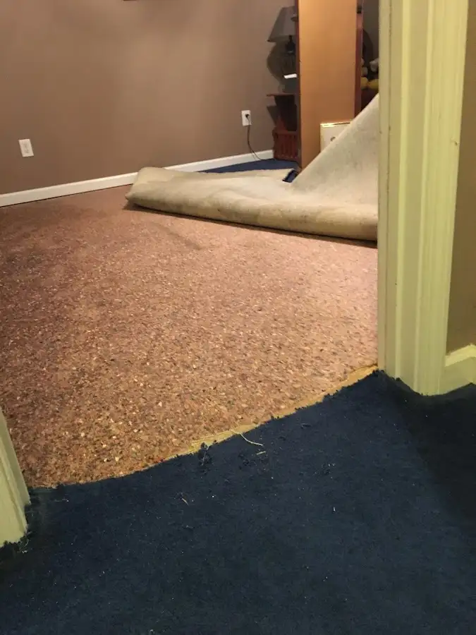 Carpet pad removal revealing water damage during Drying & Dehumidification in Orange City