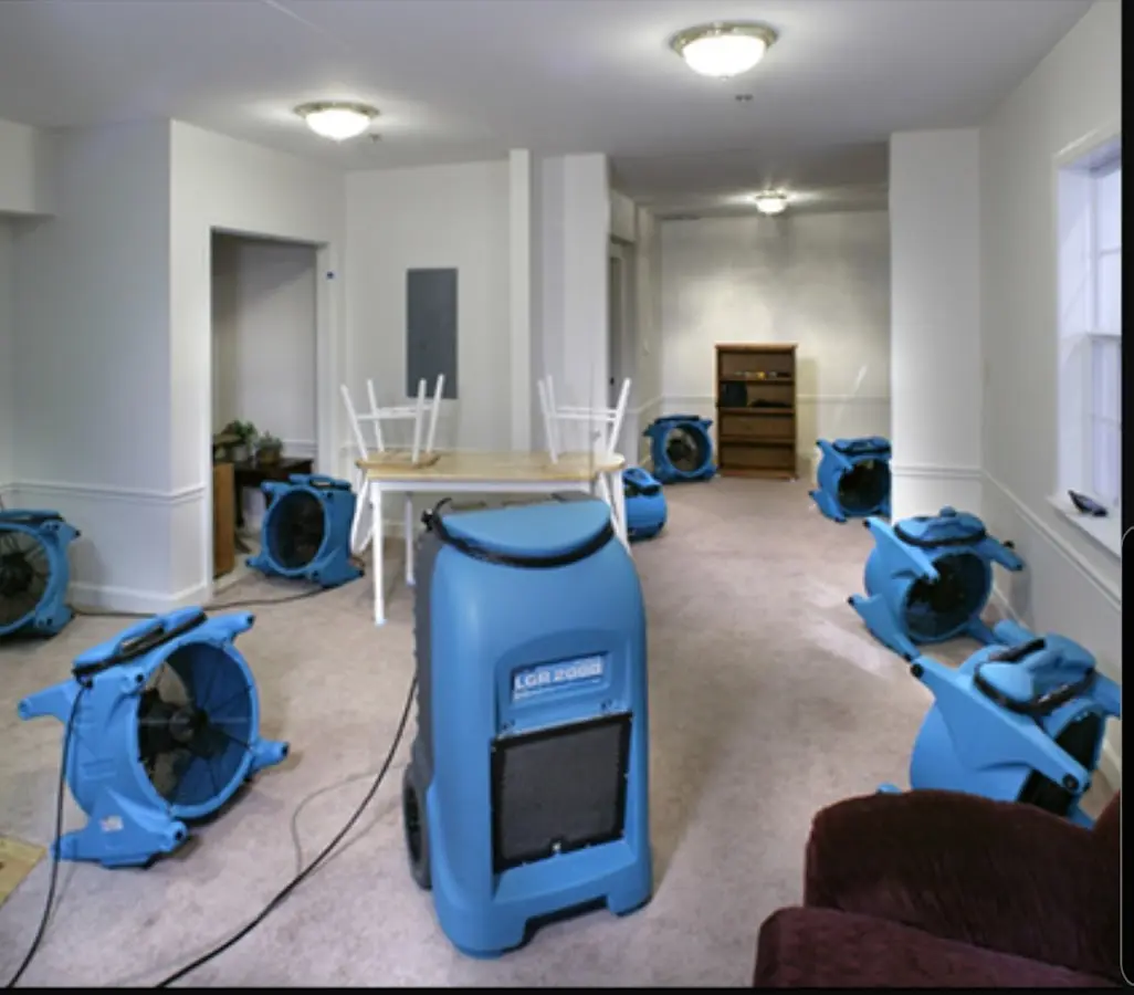 Air movers and dehumidifier setup for Water Extraction & Removal in Orange City